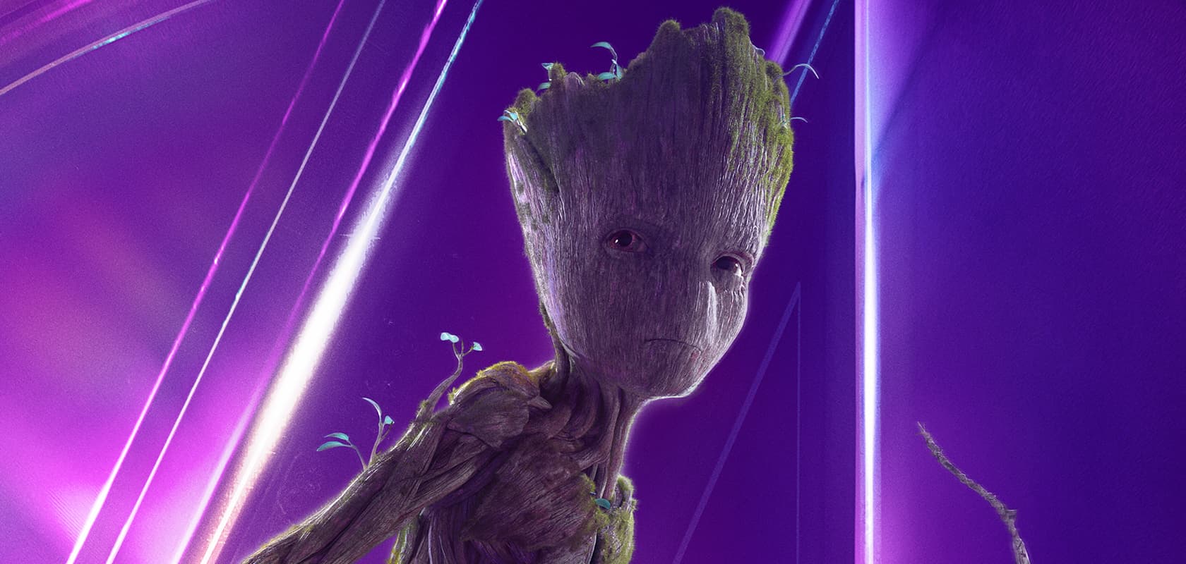 Groot